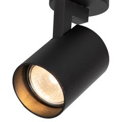 светильник для внутреннего освещения, черный цена и информация | Потолочные светильники | pigu.lt