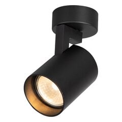 светильник для внутреннего освещения, черный цена и информация | Потолочные светильники | pigu.lt