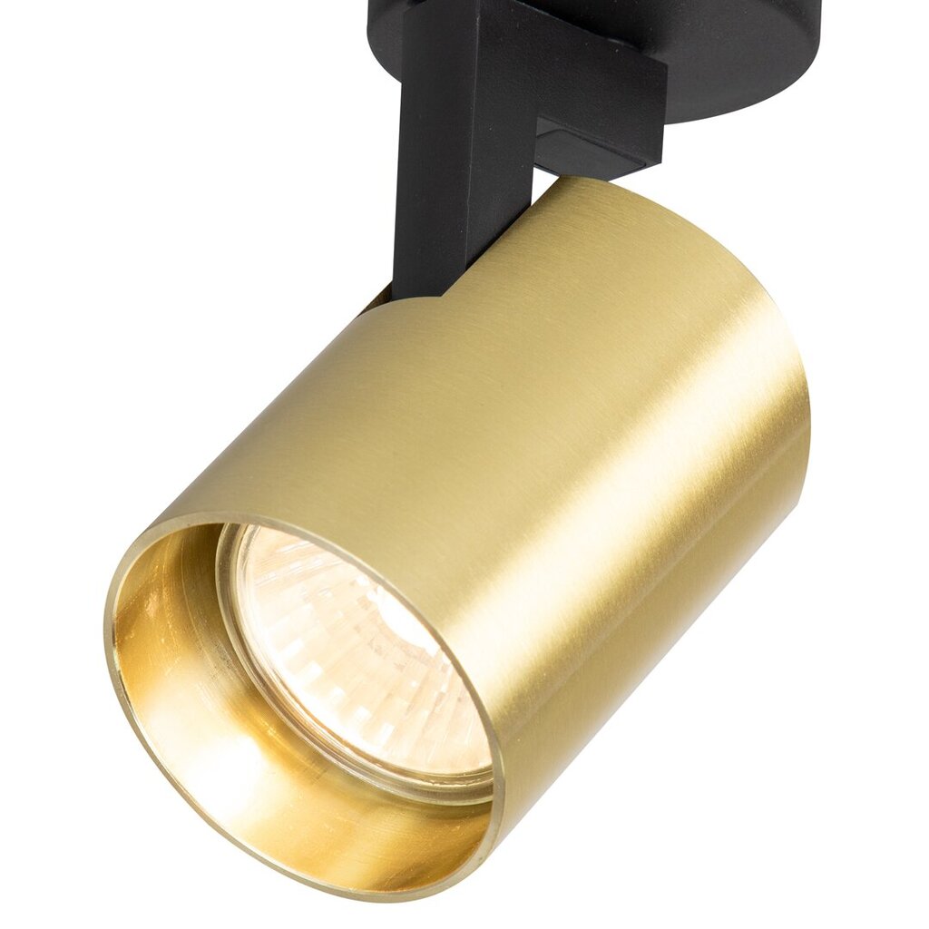 Milagro lubinis šviestuvas Ricky ML0677 цена и информация | Lubiniai šviestuvai | pigu.lt