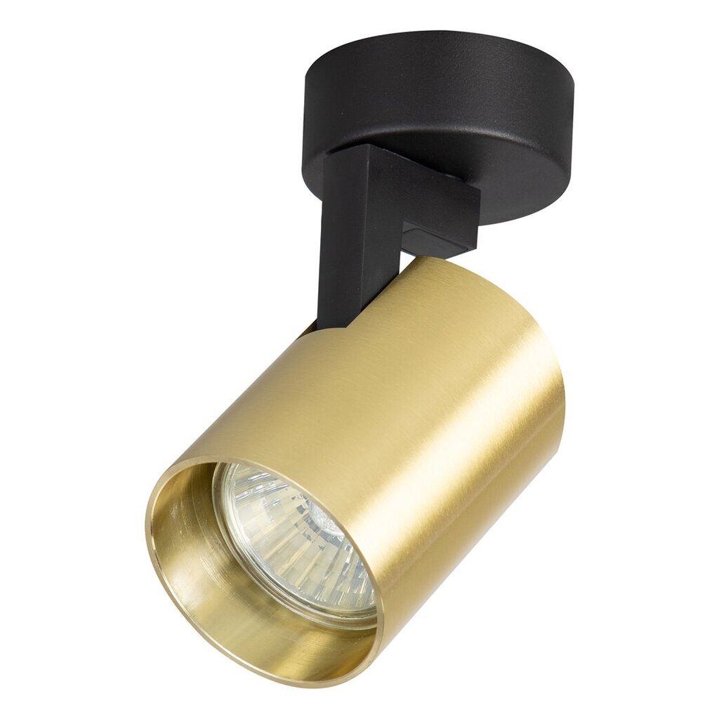 Milagro lubinis šviestuvas Ricky ML0677 цена и информация | Lubiniai šviestuvai | pigu.lt