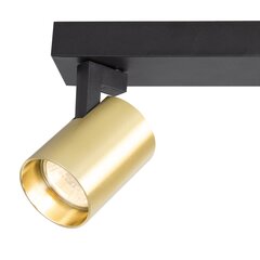 светильник volf spot gold - 2xgu10 цена и информация | Потолочные светильники | pigu.lt