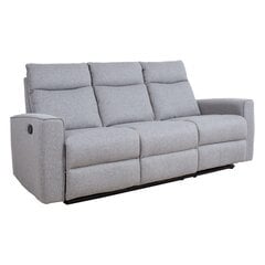 Sofa-reglaineris Evelekt, 204x93x102cm, pilka kaina ir informacija | Sofos | pigu.lt