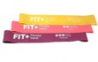 Pasipriešinmo juostų rinkinys Fit+ Mini, 60 cm, įvairių spalvų цена и информация | Pasipriešinimo gumos, žiedai | pigu.lt