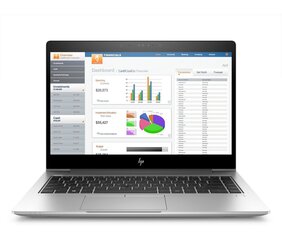 Товар с повреждением. HP EliteBook 745 G5 2300U|8GB|256GB|Win10PRO|Обновленный/Renew цена и информация | Товары с повреждениями | pigu.lt