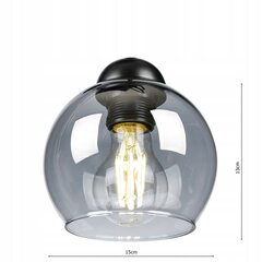 Led-lux потолочный светильник цена и информация | Потолочные светильники | pigu.lt