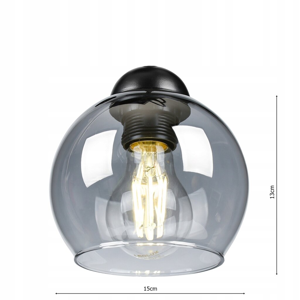 Led-lux lubinis šviestuvas цена и информация | Lubiniai šviestuvai | pigu.lt