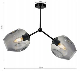 Led-lux потолочный светильник цена и информация | Потолочные светильники | pigu.lt