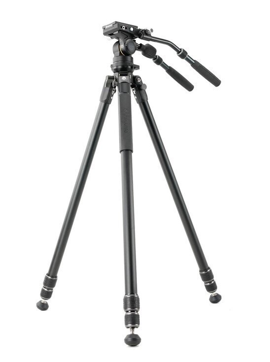 Vanguard Alta Pro 3VL 303AV18 kaina ir informacija | Fotoaparato stovai | pigu.lt