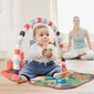 Lavinamasis muzikinis žaidimų kilimėlis kūdikiui kaina ir informacija | Lavinimo kilimėliai | pigu.lt