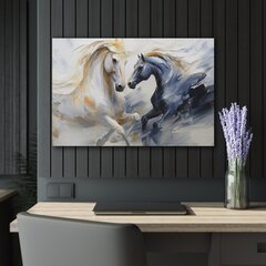 Картина из закаленного стекла - Две лошади цена и информация | Репродукции, картины | pigu.lt