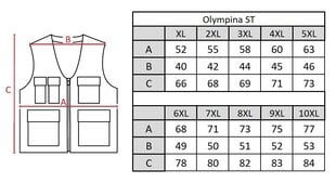 Жилет мужской Olympina ST1 цена и информация | Мужские жилетки | pigu.lt