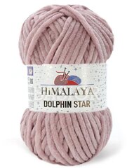 Siūlai Himalaya® Dolphin Star 92149, 100 g, 120 m. kaina ir informacija | Mezgimui | pigu.lt