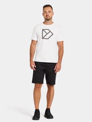Мужская футболка Didriksons, белого цвета цена и информация | Мужские футболки | pigu.lt