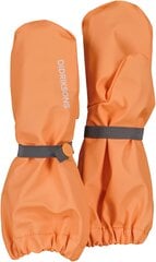 Детские дождевые перчатки Didriksons GLOVE 5, оранжевый цвет цена и информация | Непромокаемая одежда для детей | pigu.lt
