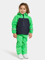 Didriksons vaikiška pavasario-rudens striukė ENSO, žalia-tamsiai mėlyna kaina ir informacija | Striukės, paltai mergaitėms | pigu.lt