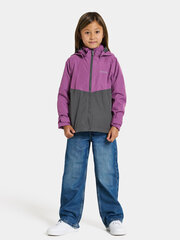 Didriksons детская весенне-осенняя куртка TERA, фиолетово-серый цвет цена и информация | Куртки, пальто для девочек | pigu.lt
