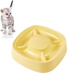 Kačių dubenėlis Qiodazoo 4-in-1 kaina ir informacija | Dubenėliai, dėžės maistui | pigu.lt