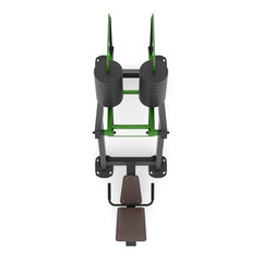Уличный металлический многофункциональный тренажер, пресс для ног MS-6-21 цена и информация | Комплексные тренажёры | pigu.lt