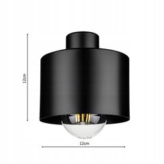 Led-lux настенный светильник, черный цена и информация | Настенные светильники | pigu.lt