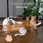 Interaktyvus kačių žaislas Carbonpro, rožinis kaina ir informacija | Žaislai katėms | pigu.lt
