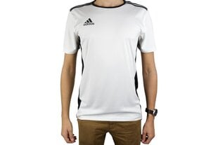 Adidas sportiniai marškinėliai berniukams Entrada 18 CD8438, balti цена и информация | Рубашки для мальчиков | pigu.lt