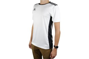 Adidas sportiniai marškinėliai berniukams Entrada 18 CD8438, balti цена и информация | Рубашки для мальчиков | pigu.lt