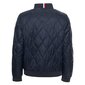 Tommy Hilfiger striukė vyrams 8720117590431, mėlyna kaina ir informacija | Vyriškos striukės | pigu.lt