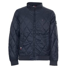 Мужская куртка Tommy Hilfiger 8720117590431, цвет синий цена и информация | Мужские куртки | pigu.lt