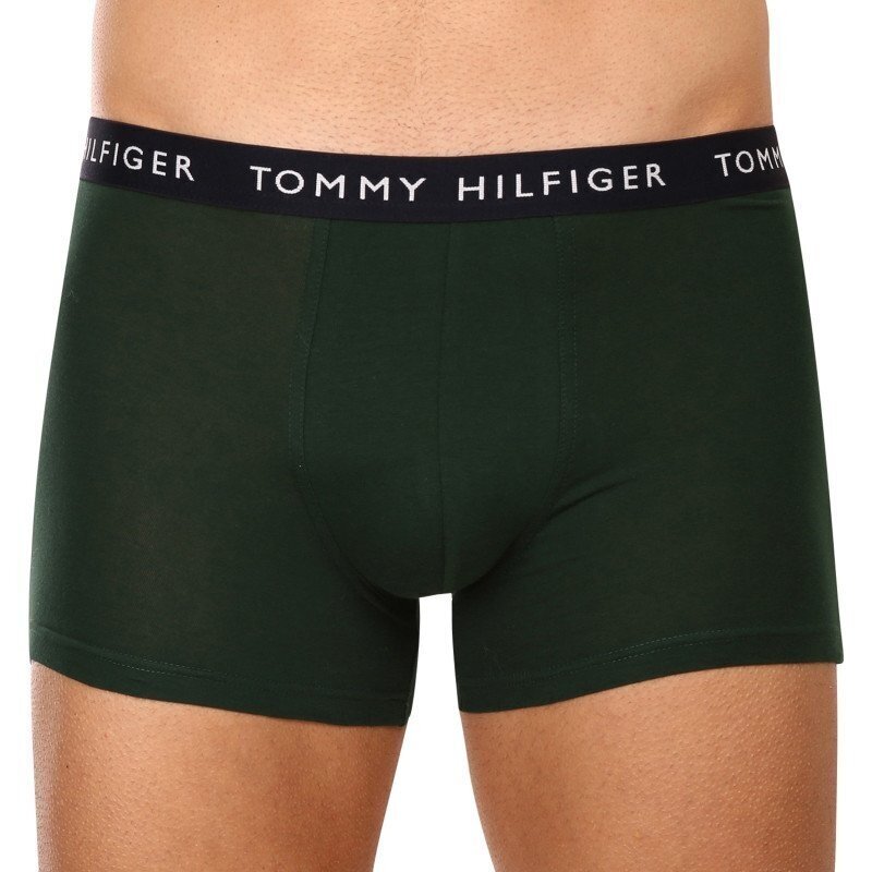 Tommy Hilfiger trumpikės vyrams 8720641945790, įvairių spalvų, 3 vnt. цена и информация | Trumpikės | pigu.lt