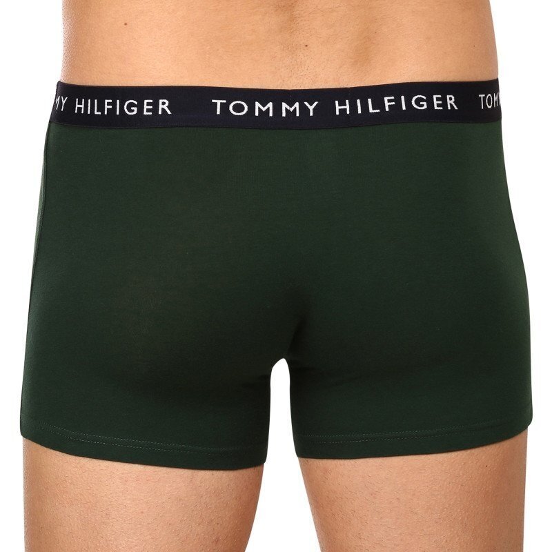 Tommy Hilfiger trumpikės vyrams 8720641945790, įvairių spalvų, 3 vnt. цена и информация | Trumpikės | pigu.lt