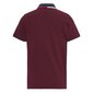Tommy Jeans polo marškinėliai vyrams 8720641251365, raudoni цена и информация | Vyriški marškinėliai | pigu.lt