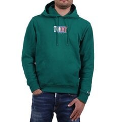 Джемпер Tommy Jeans для мужчин 8720641302074, зеленый цена и информация | Мужские толстовки | pigu.lt