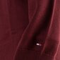 Tommy Hilfiger megztinis vyrams 8720642005998, raudonas цена и информация | Megztiniai vyrams | pigu.lt