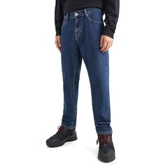 Мужские джинсы Tommy Jeans 8720642250299, синие цена и информация | Мужские джинсы | pigu.lt