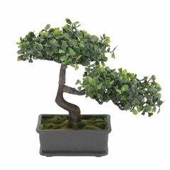 Sausmedis Bonsai kaina ir informacija | Dirbtinės gėlės | pigu.lt