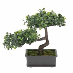 Sausmedis Bonsai kaina ir informacija | Dirbtinės gėlės | pigu.lt