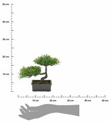 Dirbtinis Bonsai medelis vazone kaina ir informacija | Dirbtinės gėlės | pigu.lt