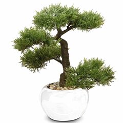 Dirbtinis bonsai medelis kaina ir informacija | Dirbtinės gėlės | pigu.lt