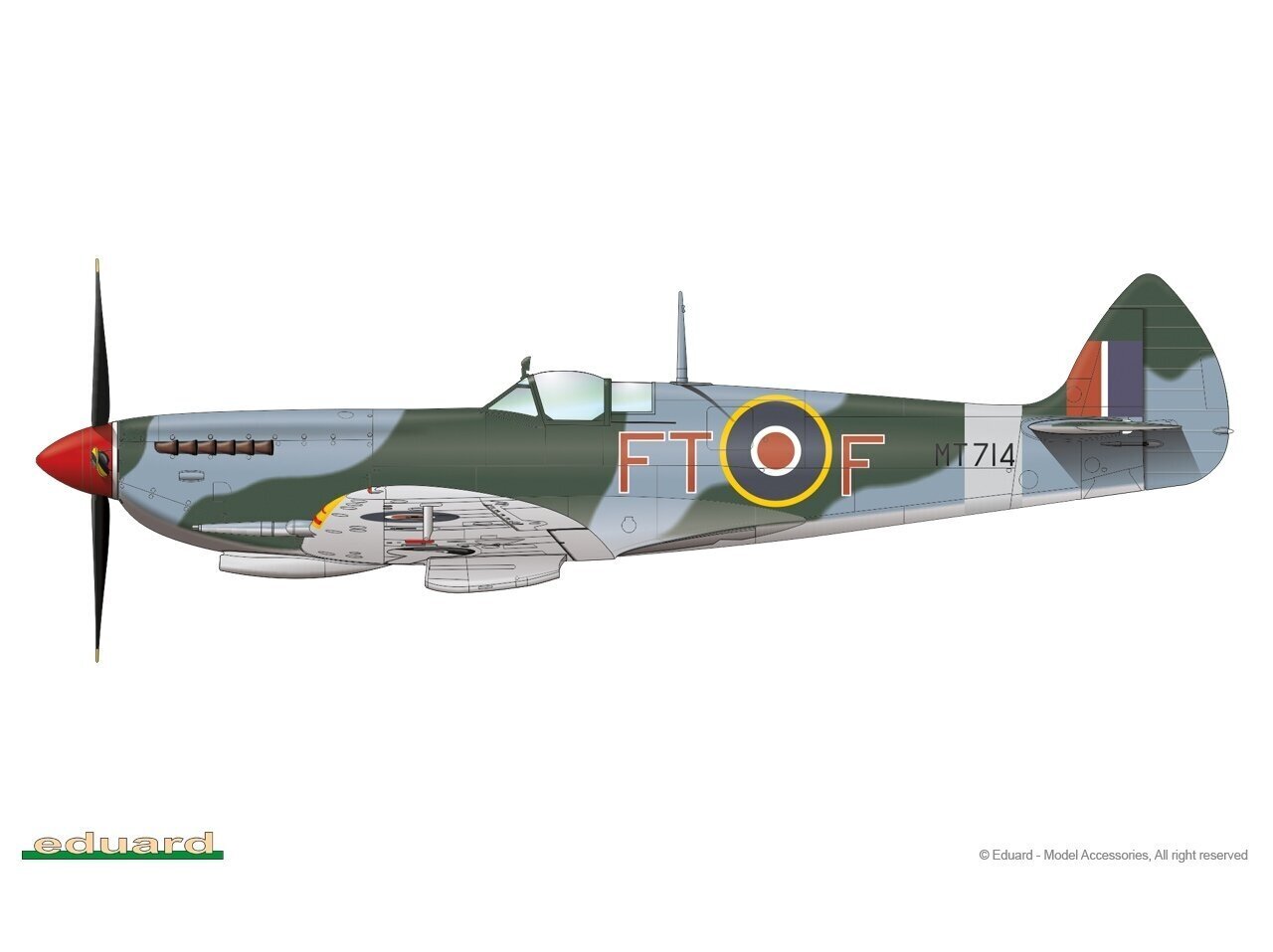 Surenkamas modelis Supermarine Spitfire Mk.VIII ProfiPack Eduard 8284 kaina ir informacija | Konstruktoriai ir kaladėlės | pigu.lt