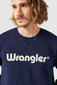 Džemperis vyrams Wrangler, mėlynas kaina ir informacija | Džemperiai vyrams | pigu.lt