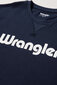 Džemperis vyrams Wrangler, mėlynas цена и информация | Džemperiai vyrams | pigu.lt