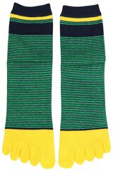 Kojinės vyrams Sokisahtel, žalios kaina ir informacija | Vyriškos kojinės | pigu.lt