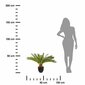 Dirbtinė palmė vazone цена и информация | Dirbtinės gėlės | pigu.lt