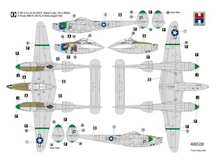 Surenkamas modelis Lockheed P-38L Ligthning 80th Fighter Squadron Hobby 2000, 1/48, 48028 цена и информация | Конструкторы и кубики | pigu.lt