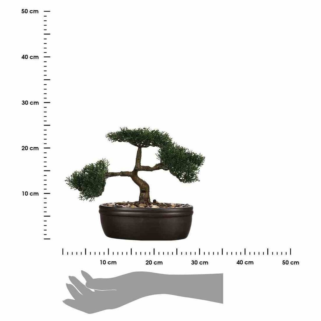 Dirbtinis Bonsai medelis vazone kaina ir informacija | Dirbtinės gėlės | pigu.lt