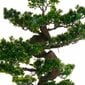 Dirbtinė gėlė Bonsai kaina ir informacija | Dirbtinės gėlės | pigu.lt