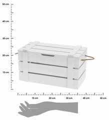 Daiktadėžė, 36x19x19 cm kaina ir informacija | Daiktadėžės | pigu.lt