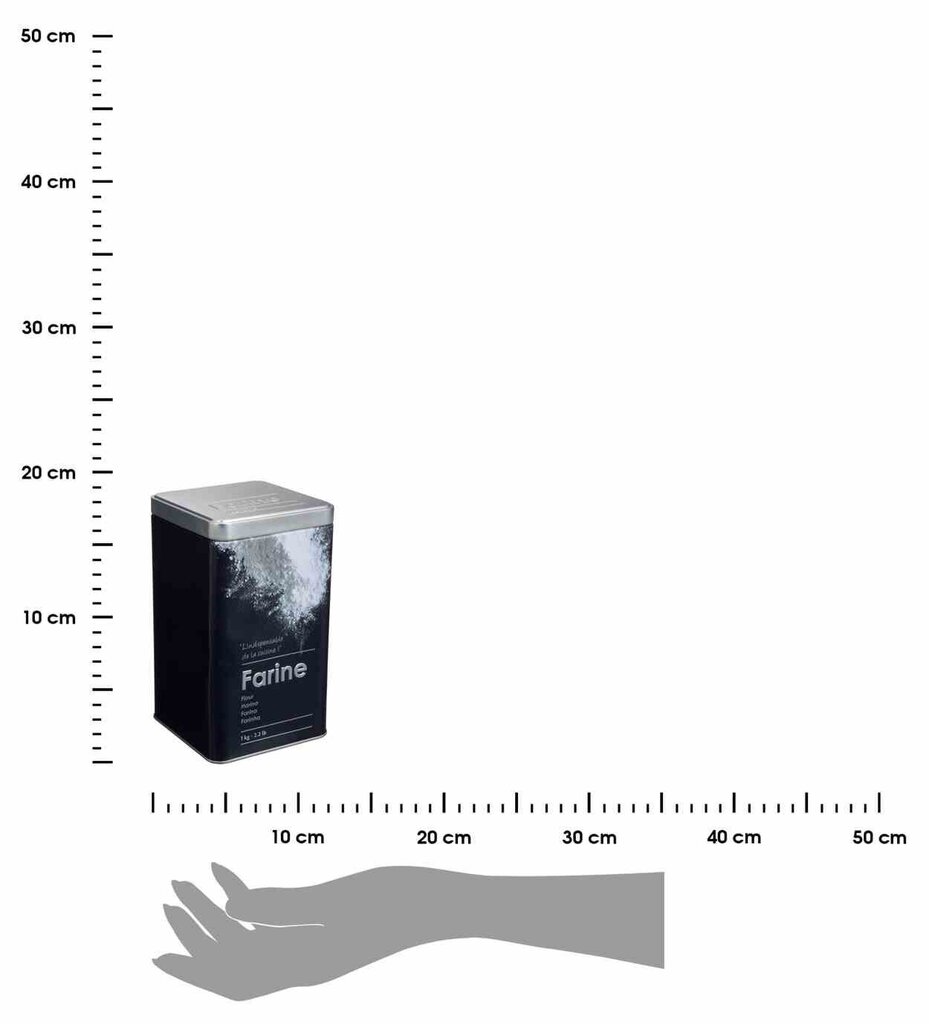 Indas miltams, 1 kg kaina ir informacija | Maisto saugojimo  indai | pigu.lt