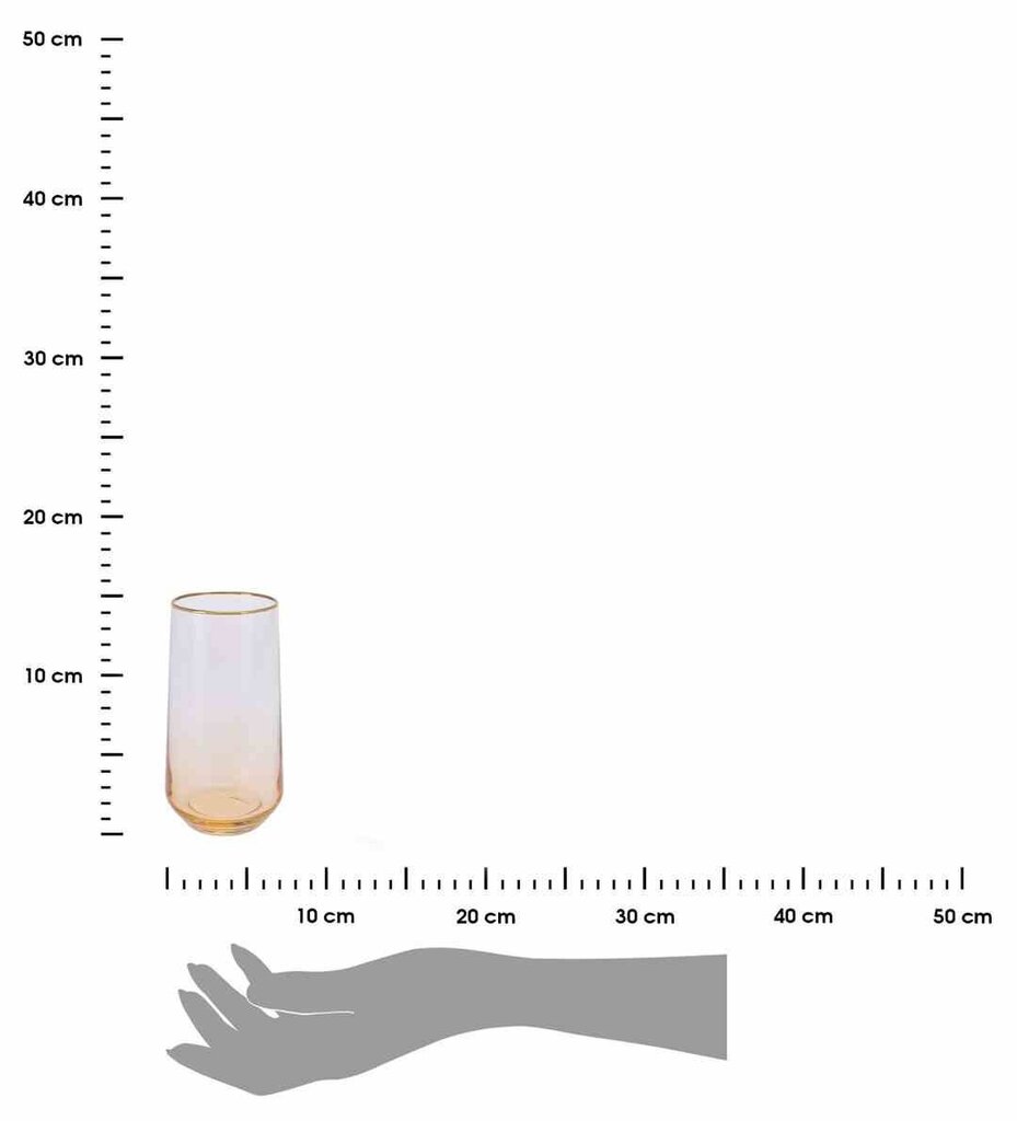 Stiklinė su auksiniu apvadu, 1 vnt. kaina ir informacija | Taurės, puodeliai, ąsočiai | pigu.lt