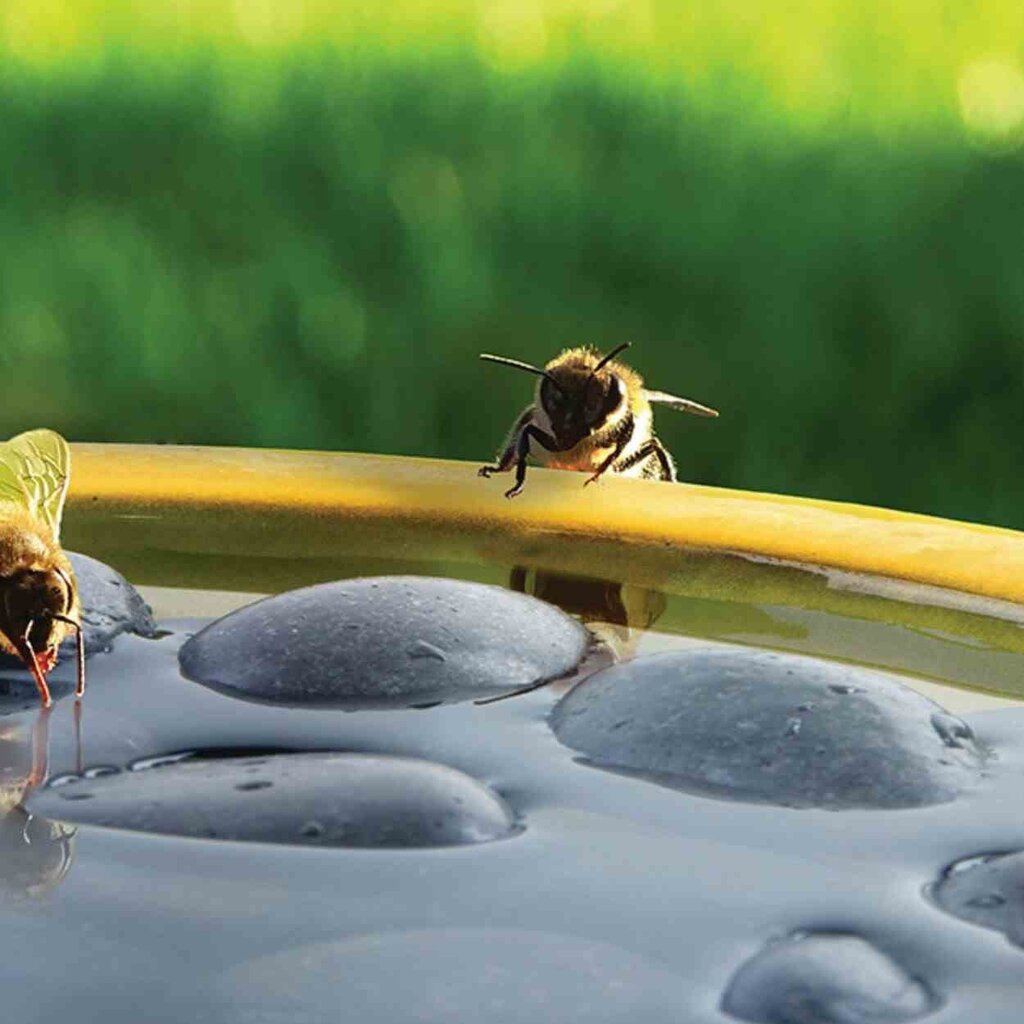 Bičių ir drugelių girdykla Esschert Design, geltona kaina ir informacija | Inkilai, lesyklėlės, narvai | pigu.lt